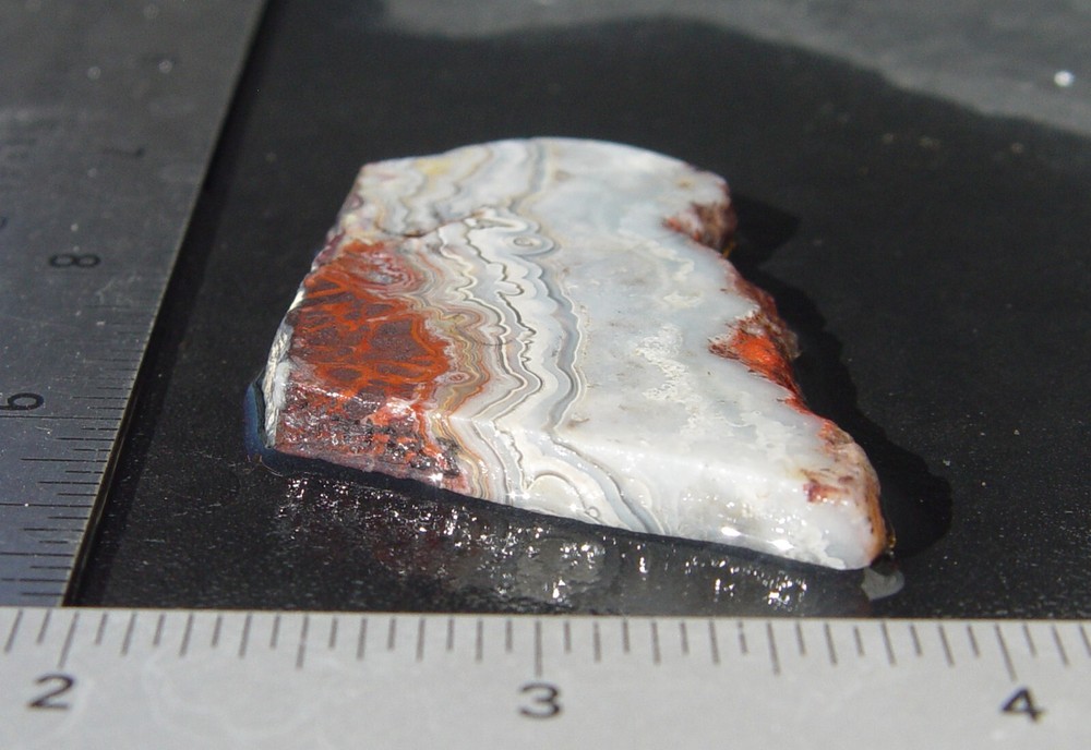 Crazy Lace Agate Lapidary Slab T1233