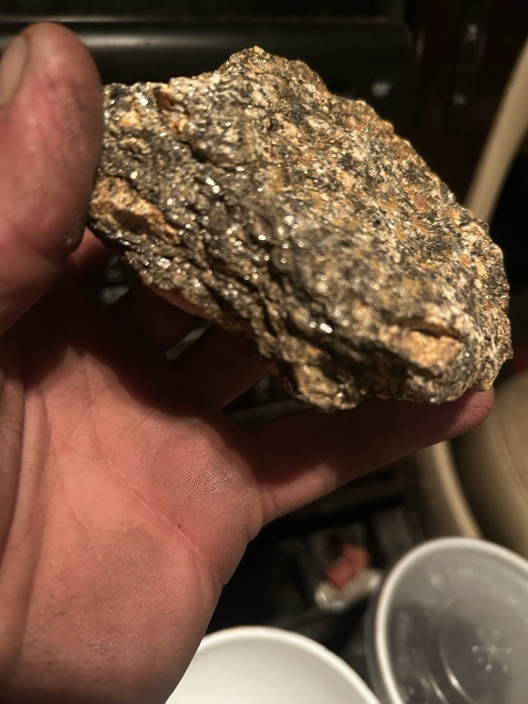 Gold Quartz Ore Rock Highly Mineralized