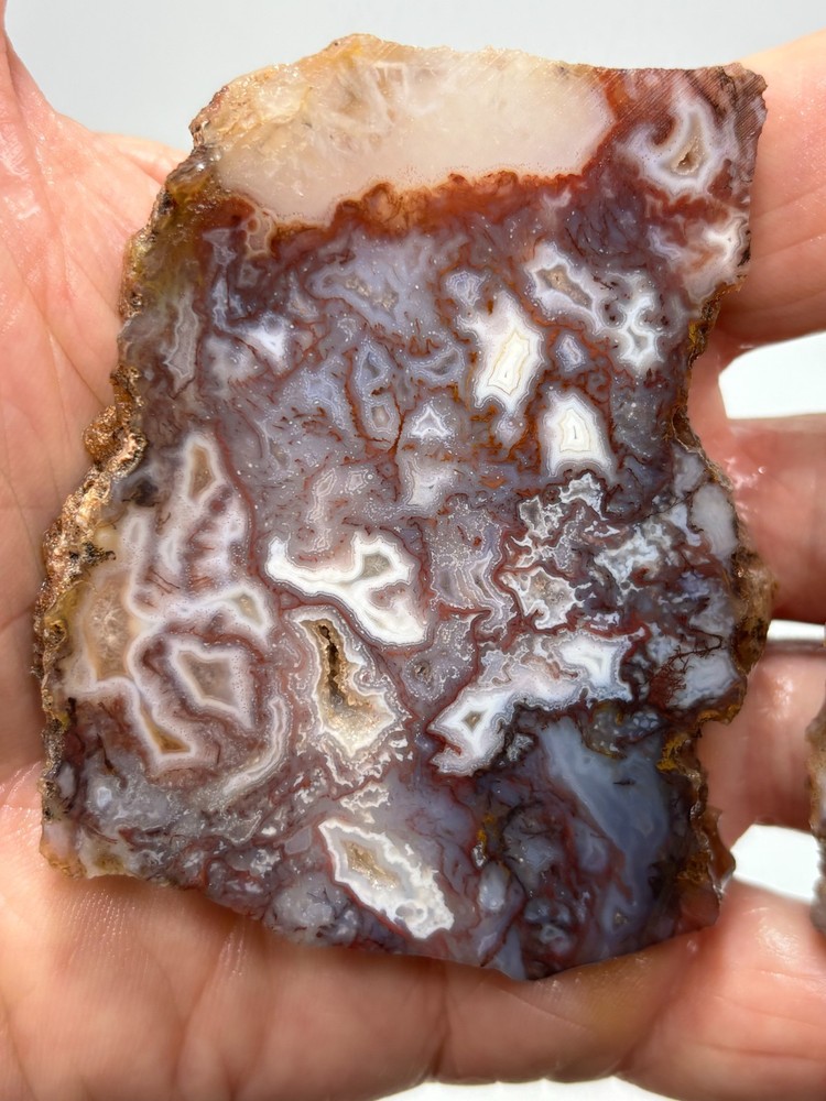 Mexican Red Moss Agate Slabs Lapidary Cabbing Combo Ship Avail