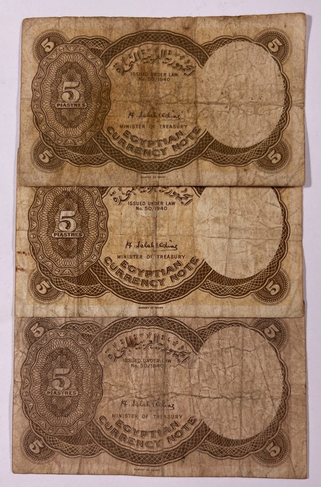 Egypt 8 mixed Nefertiti notes (#519) Mixed grades.