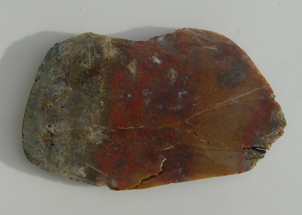Macaw Agate from Mexico Lapidary Slab T826