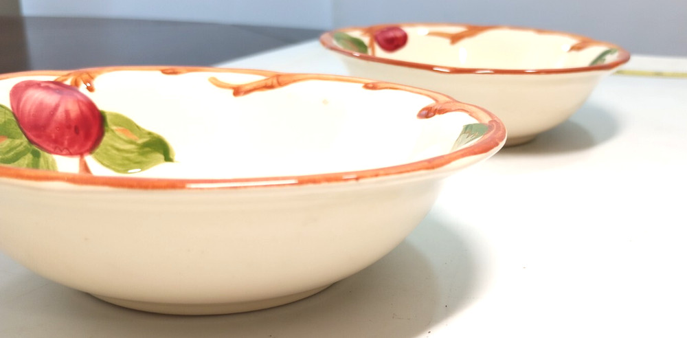 Medium replacement Franciscan plate set of two hand painted