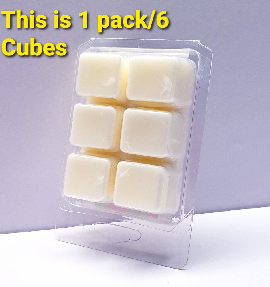 ENDLESS WEEKEND -Bath & Body Works Candle Wax Melts- $6 per pack