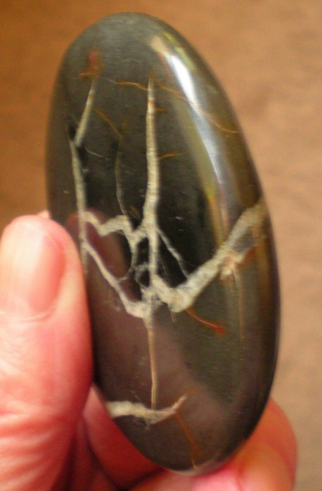 Healing Shield - Septaria Palmstone Morocco sc1064