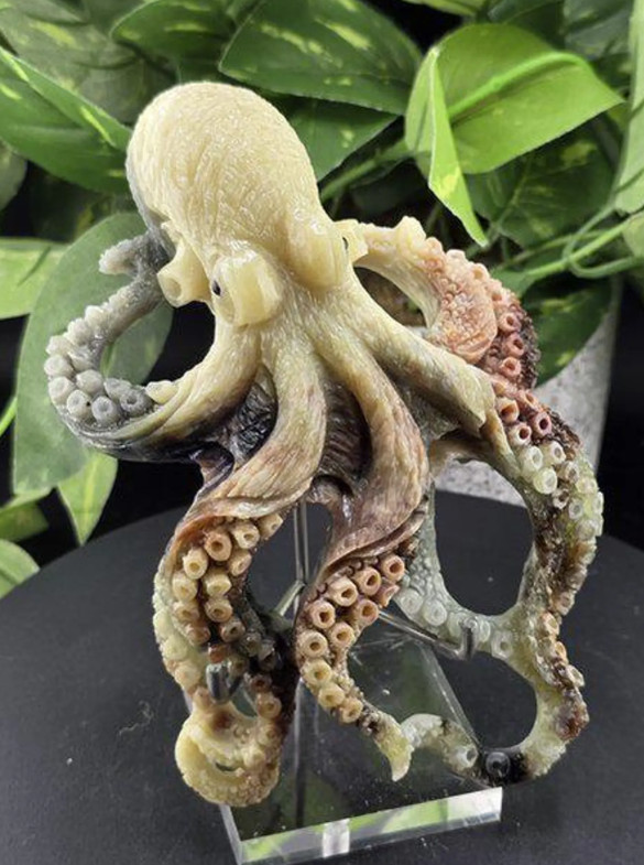 CARVED OCTOPUS AMAZON STONE STATUE SCULPTURE FIGURINE