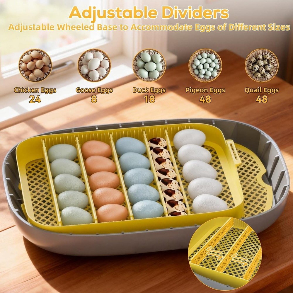 Automatic Egg Incubator - 24 Egg Capacity with Smart Temp Control & 360° View