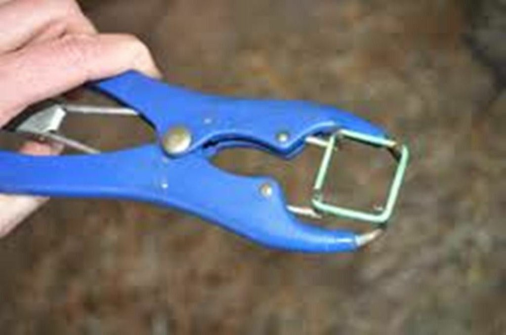 Elastrator Tool Castrator Plier Castrate Dock Tail Cattle Sheep Goats with Rings