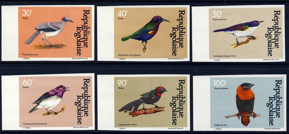 TOGO . 1981 Birds IMPERF (1107-10,C446-47) .  Mint Never Hinged