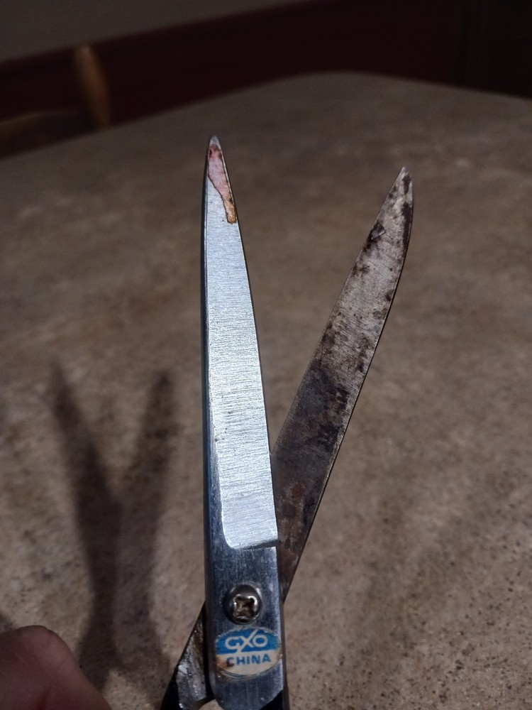 GXO China Fabric Shears 7"