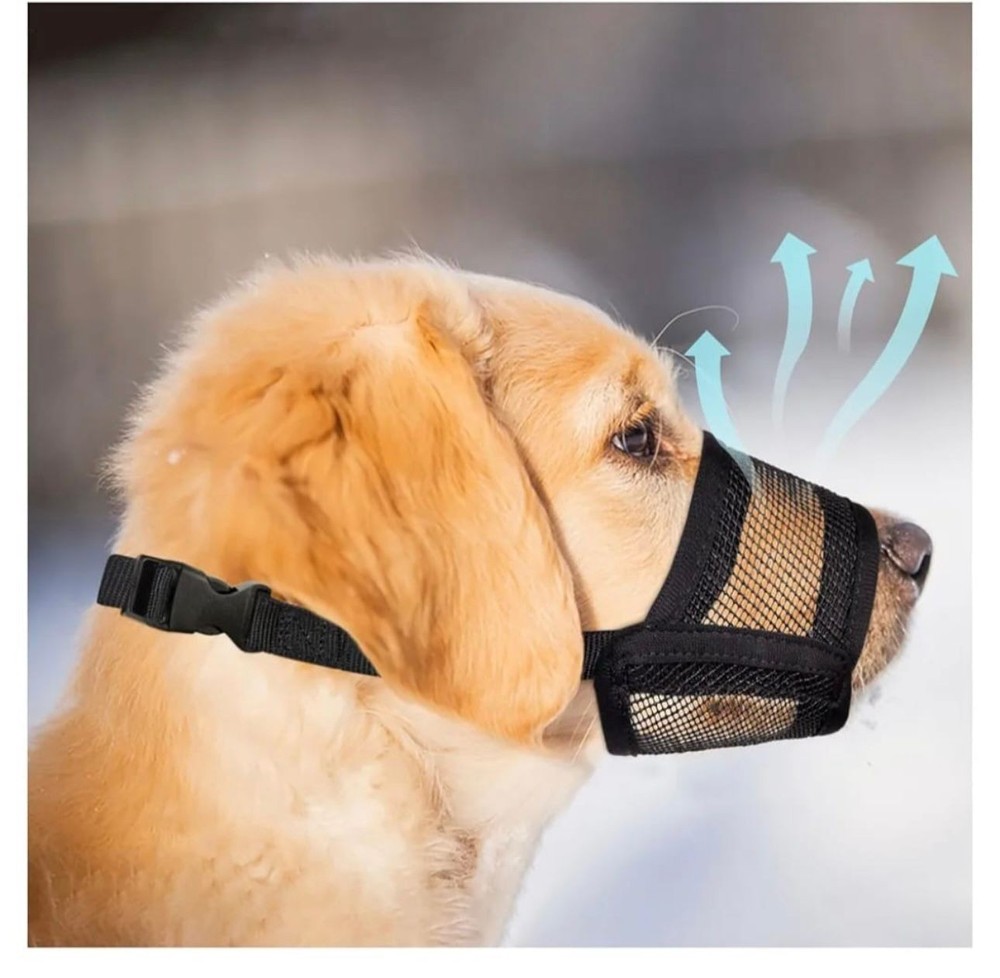 Bozal para perros Evollax