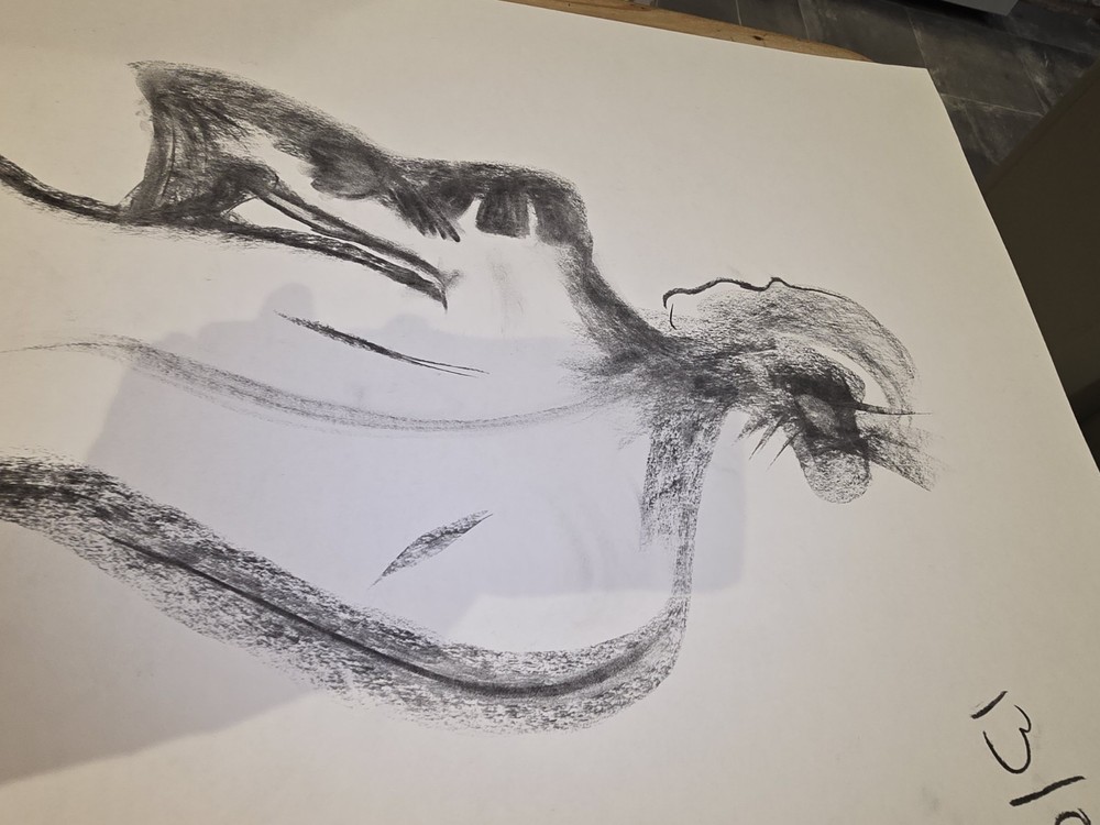 DONZ HILLAN ORIGINAL CHARCOAL A2 Drawing