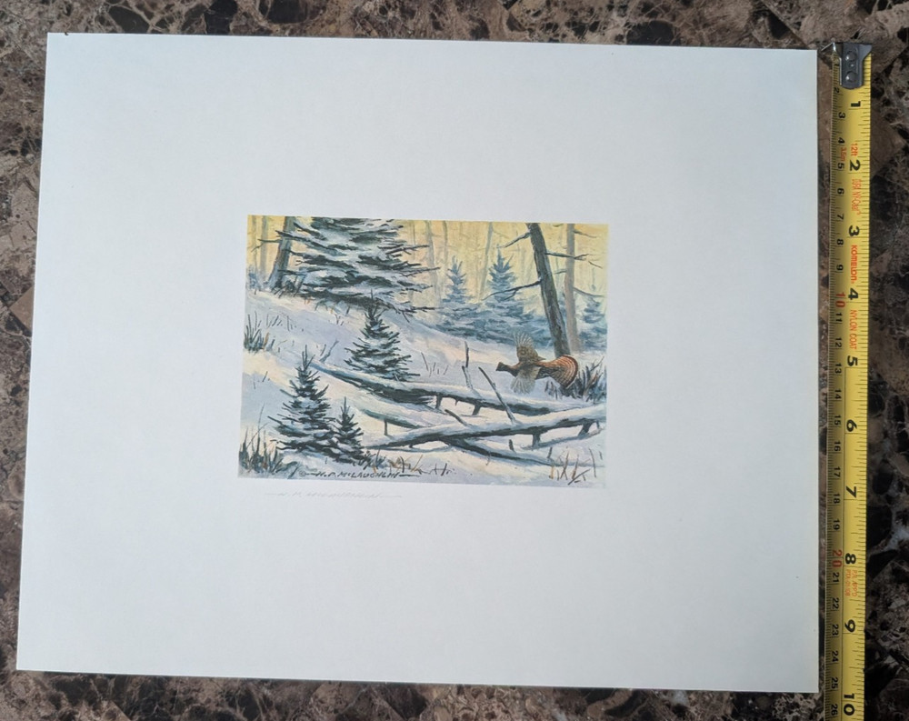 H.P. McLaughlin Grouse print - Wildlife Painter