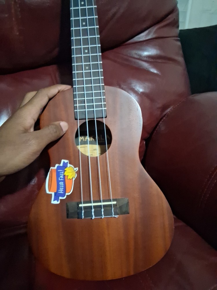 Ukulele