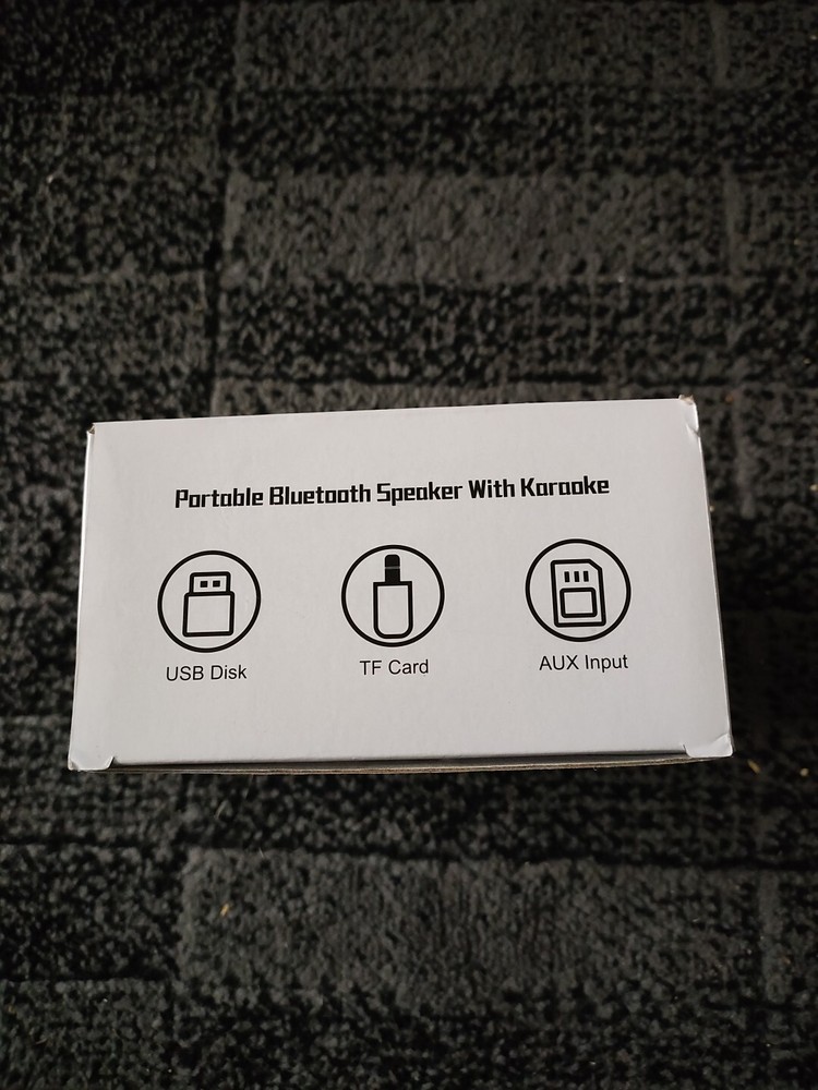 Karaoke Machine with Dual Microphones