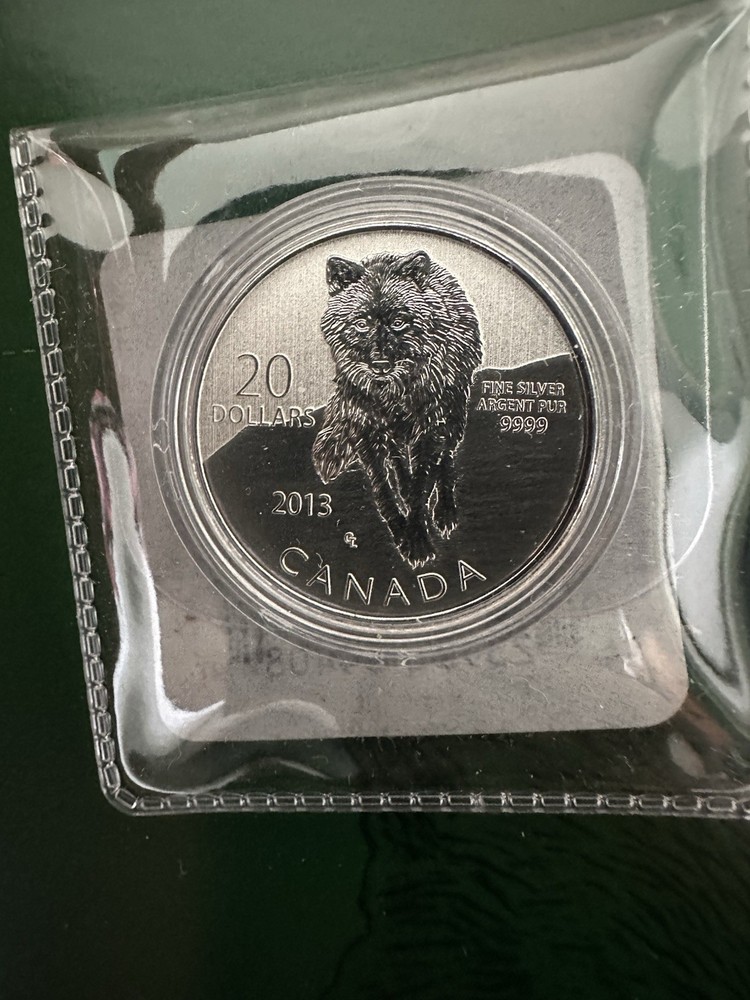 2013 Canada 20 Dollar Silver Coin