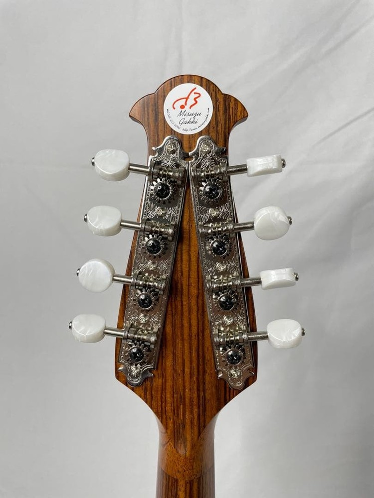 ASTURIAS MS-1bis mandolin with case