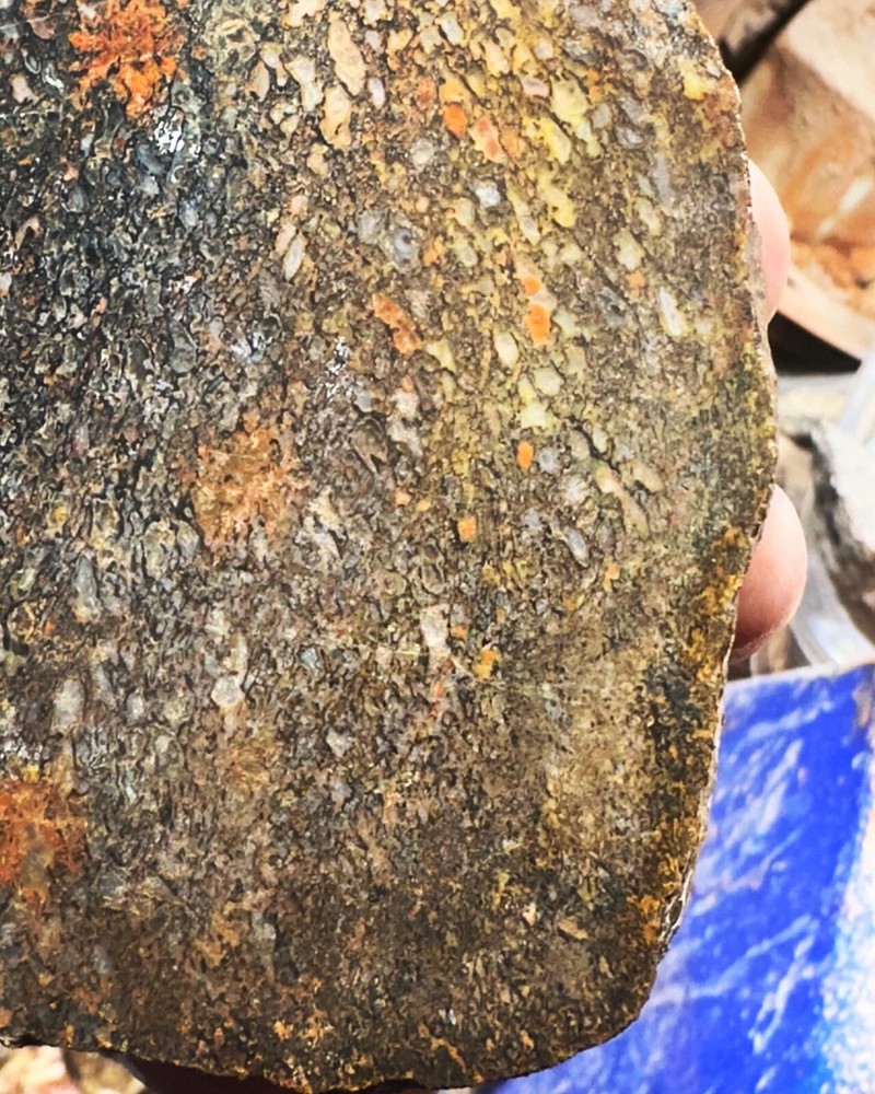 Dinosaur bone rough slab.