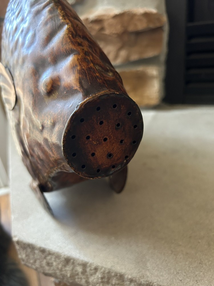 Whimsical Fish Watering Can Art