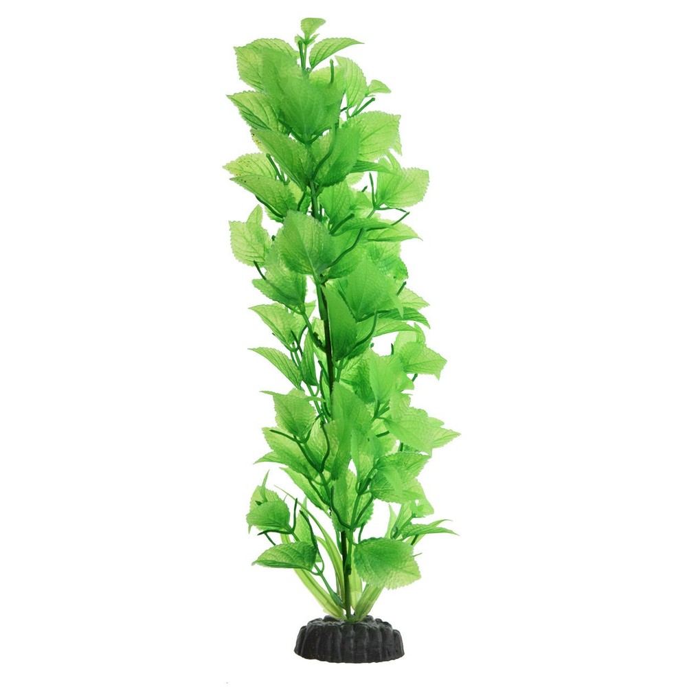 Underwater Treasures Green Broadleaf Tall Plant