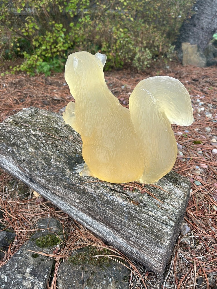 Ballistic Gel Squirrel Target