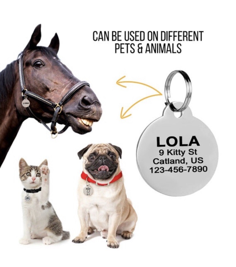 Stainless Steel Pet ID Tags Dog Tags Personalized Front and Back Engraving