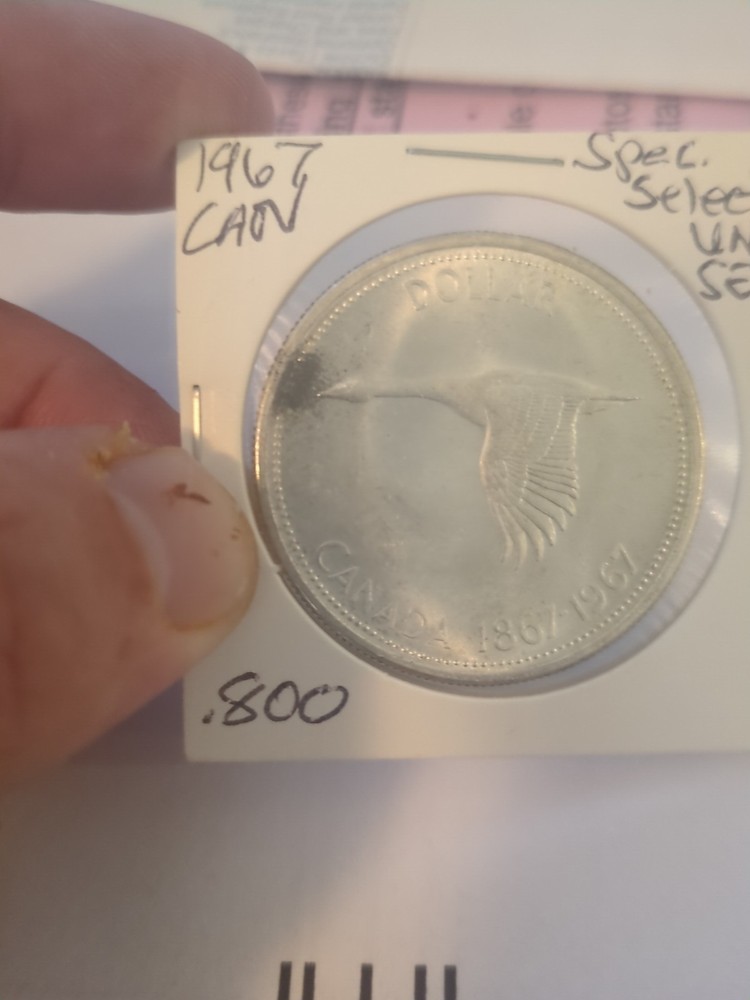 1967 Canada Silver Dollar – Flying Goose – 80% Silver – Toning– Centennial