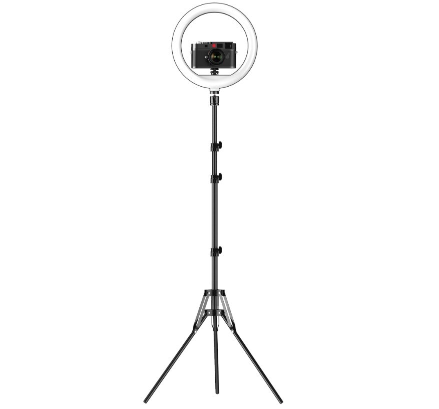 10" LED Ring Light & 2.1M Tripod Stand for Insta360