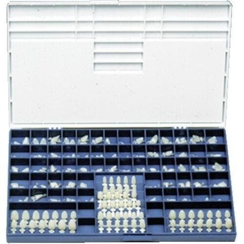 Polycarbonate Crowns, , 101, 5/Box