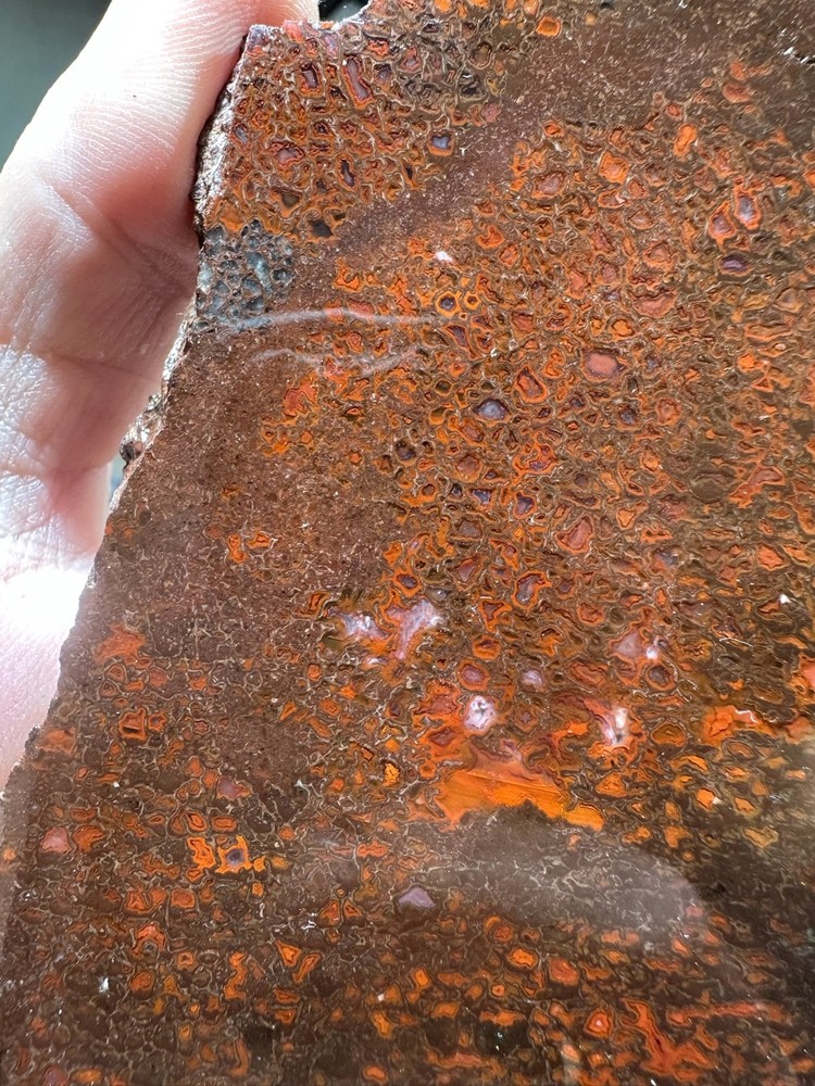 Dinosaur bone rough **hxtled slab.