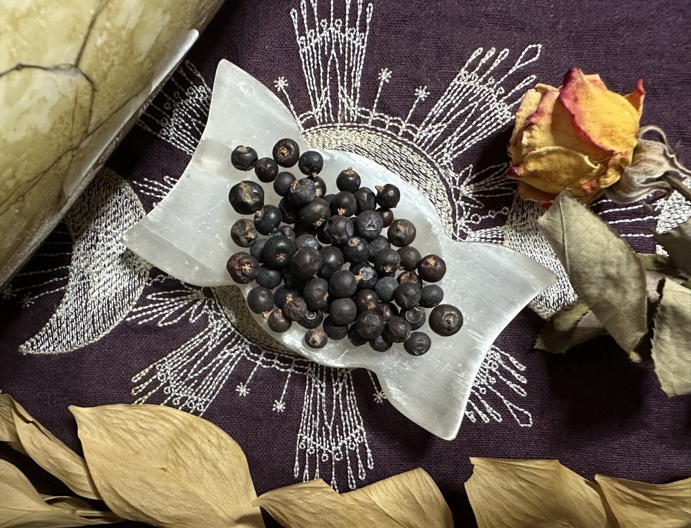 Juniper Berries, Creativity, Self expression, Banish Curses and Hexes