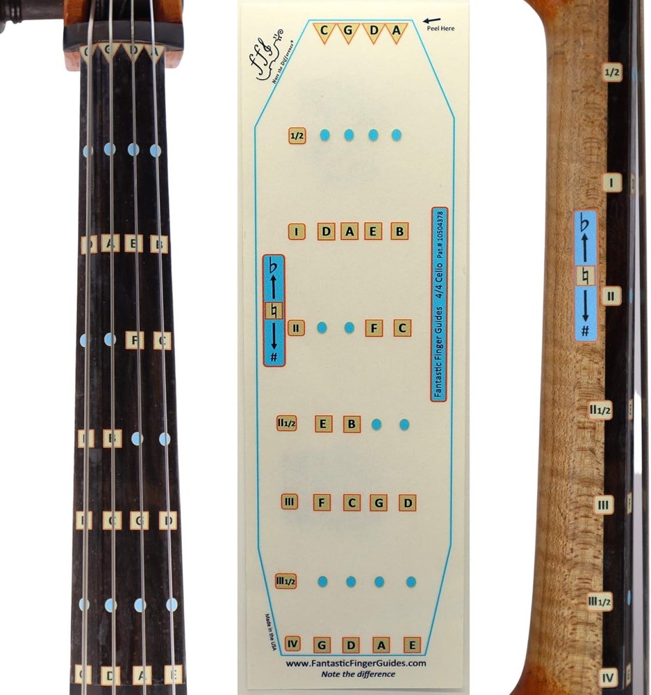 Cello Finger Guide Stickers for Learning Notes 4/4 Size Beginner to Intermediate