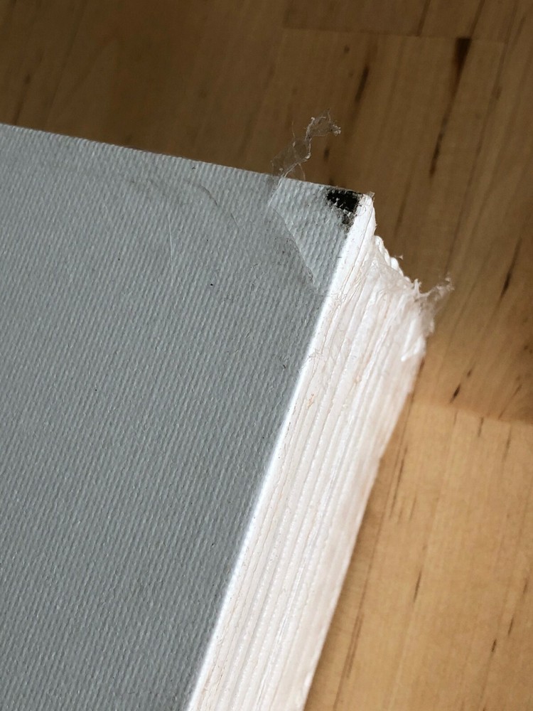 KingArt Studio Canvas Panels, 8" x 10", 14 Piece, READ