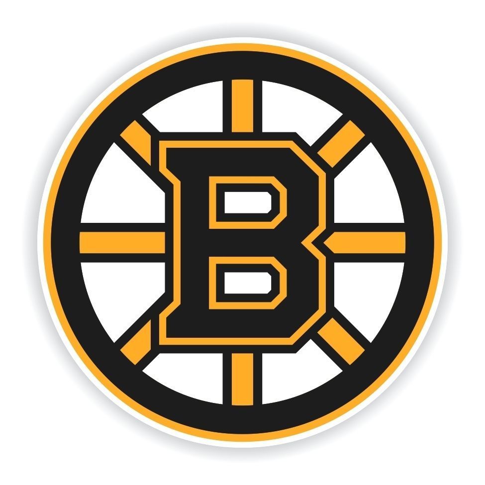 Boston Bruins Round Decal / Sticker Die cut