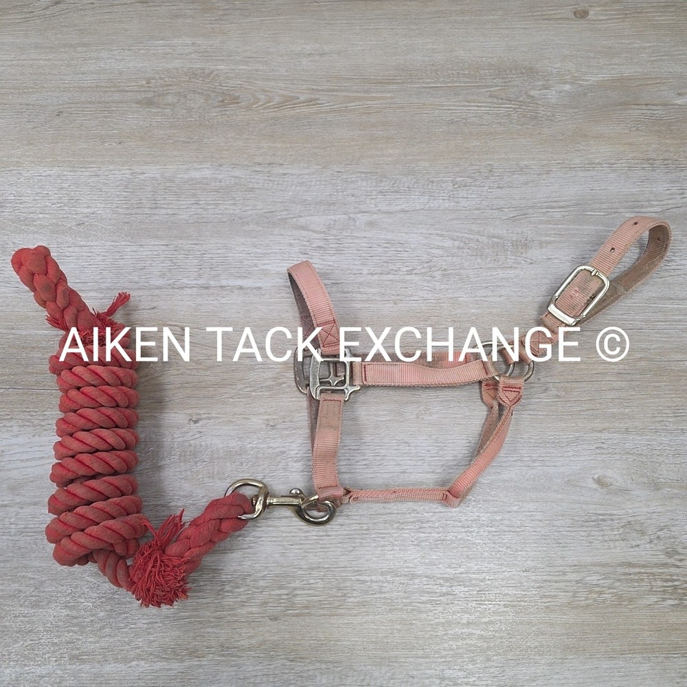 BARGAIN BUNDLE: Nylon Halter, Size Small with Lead Rope (Read Description)