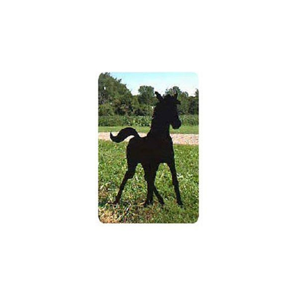 Woodcraft Project Paper Plan to Build Spring Foal Shadow