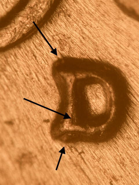 1960-D  WRPM#171 D/D Tilted Ch/Gem BU/Uncirculated Red Lincoln Cent Error