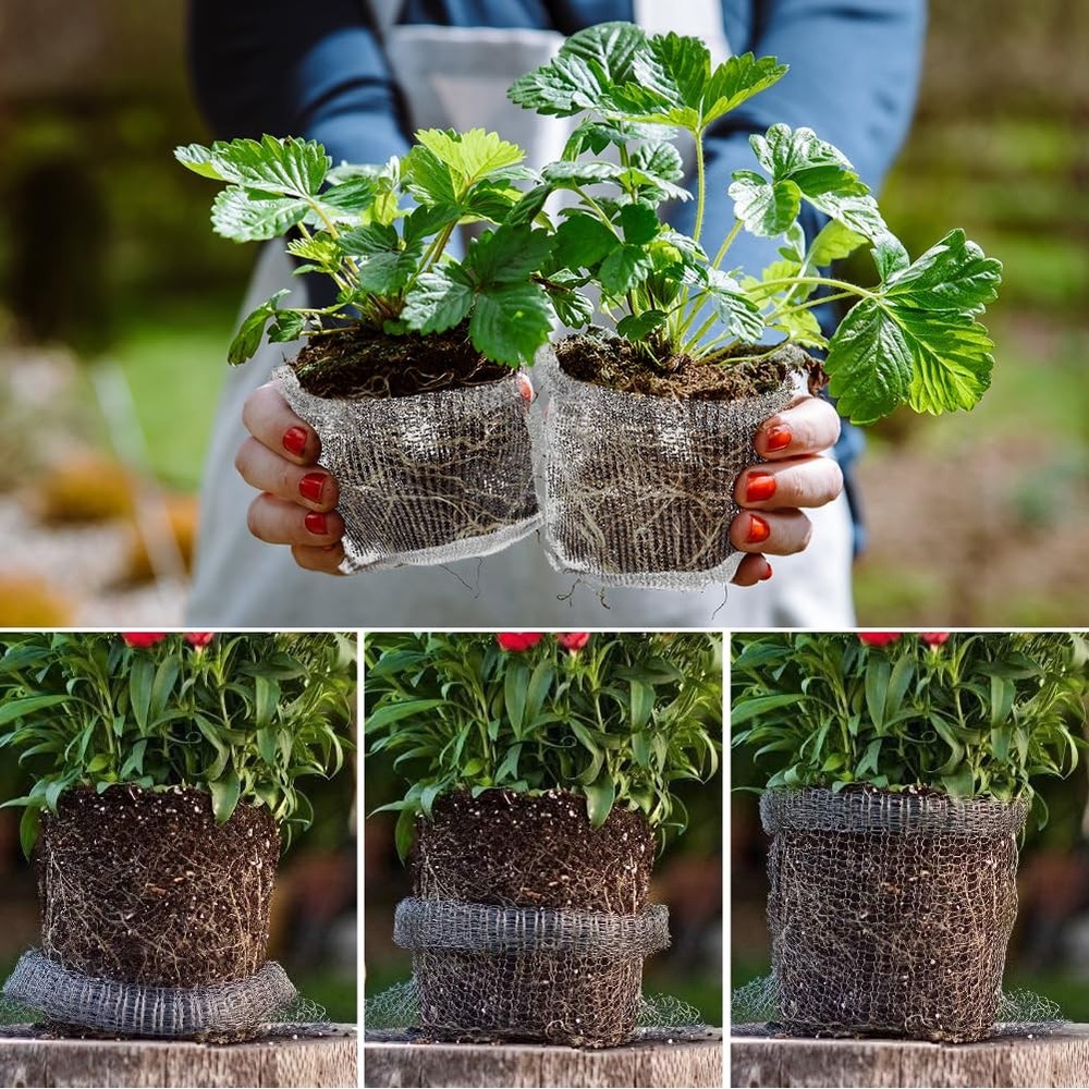 6 PCS 15 Gallon Root Guard Baskets Gopher Proof Stainless Steel Wire Mesh