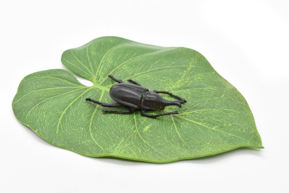Elephant Beetle, Very Nice Rubber Reproduction 2" CWG12 B13