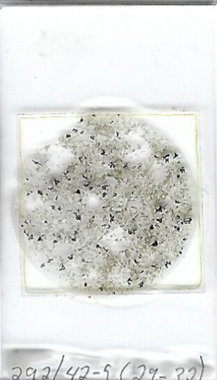Thin-section Mount from DSDP Hole 292 Petrographic Microscope Slide 31-292-42-5