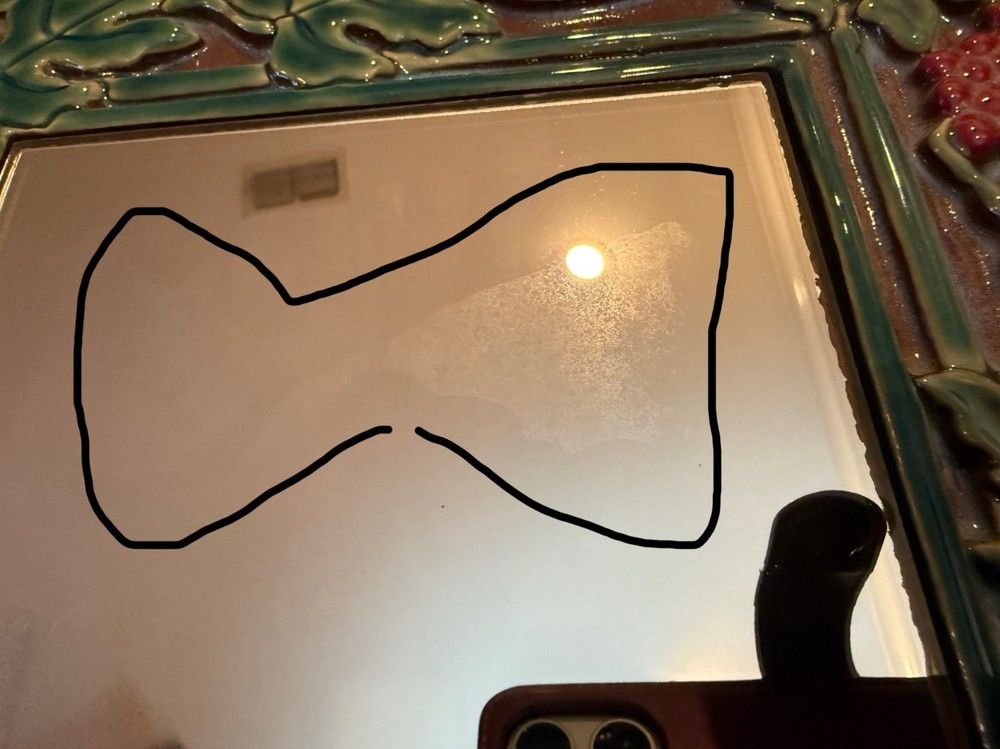 Alamo Tile Grape & Leaf Ceramic Framed Mirror Signed READ