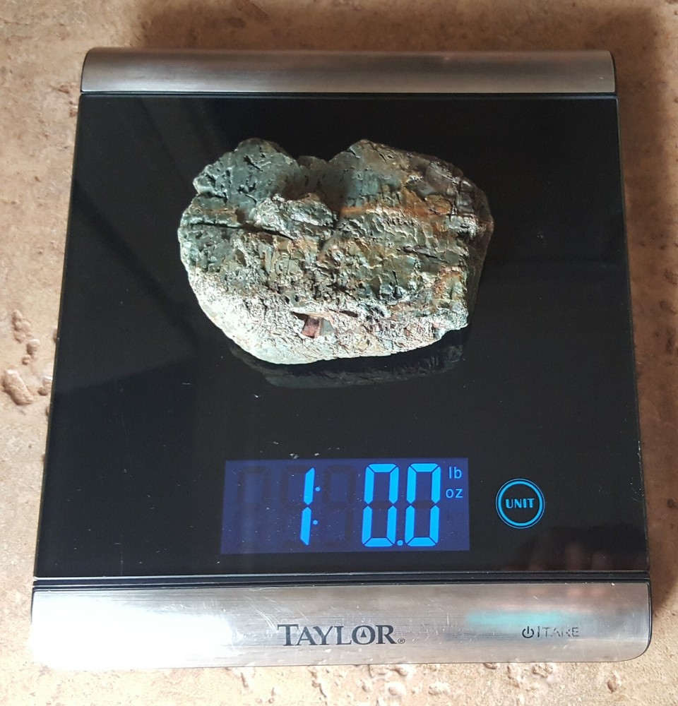 Petrified Wood Greenish, Rust, Black