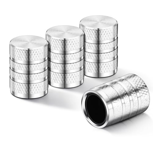 Tire Valve Stem Caps, Silver(4 Pack) silver