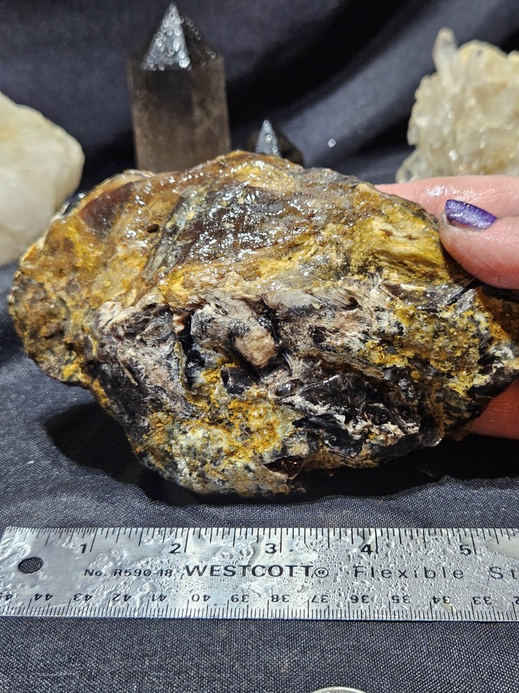 Petrified Wood Specimen Natural Form (1lb 5oz)