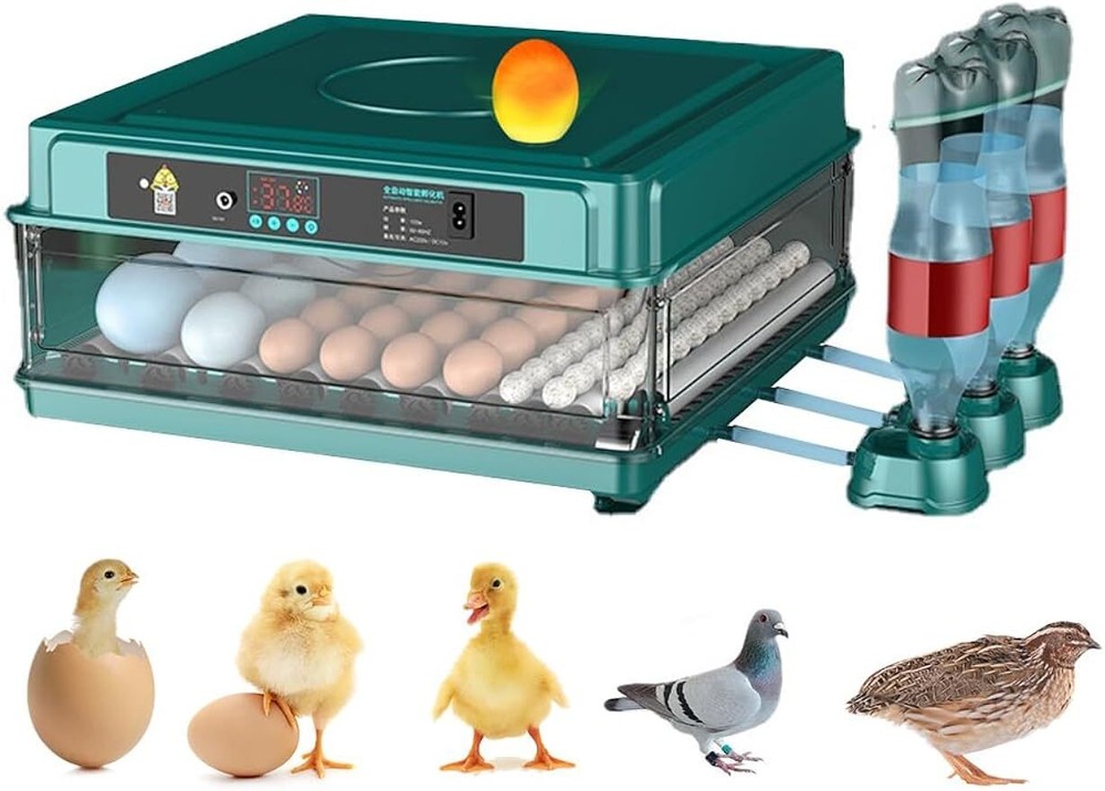 Egg Digital Poultry Hatcher Machine Automatic Egg Turning Temperature & Humidity