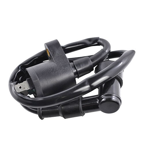 RM Stator Ignition Coil - RM06001