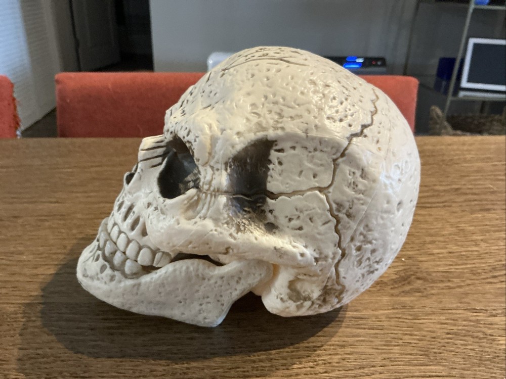Skull Figurine Halloween Decor Rustic Look