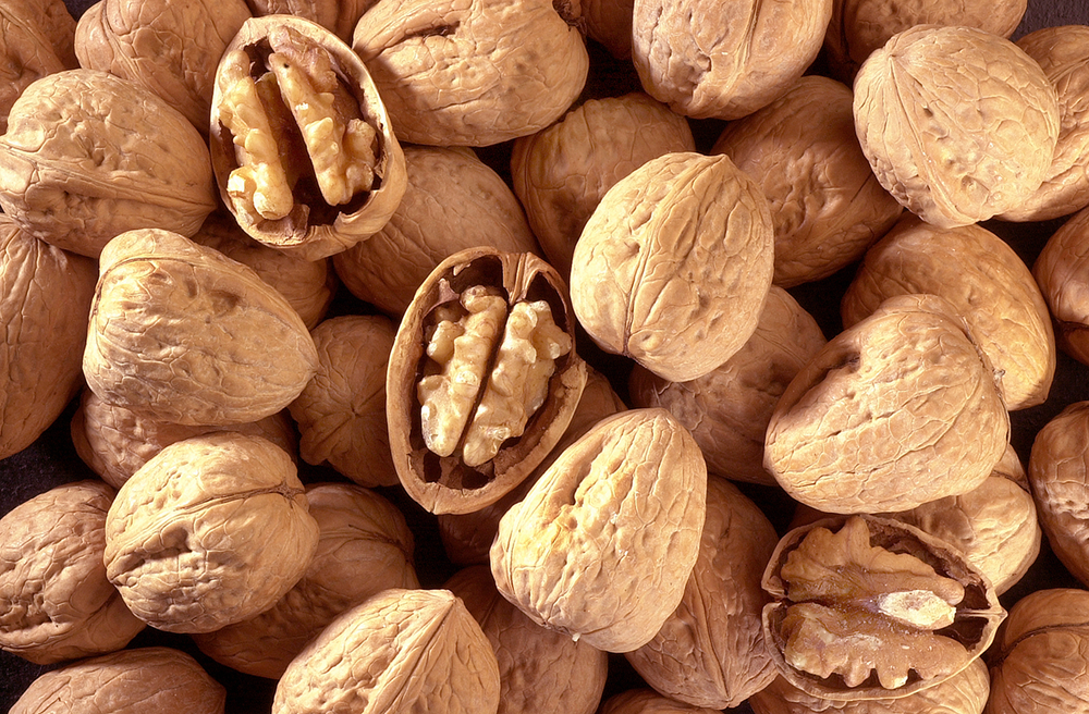 Freshly Harvested California Raw In shell Walnuts -BLEACHED