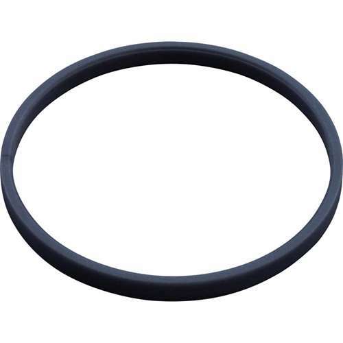 Hayward DV5000/KingRay Diaphragm Band