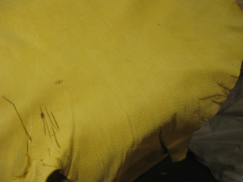 Buffed Deer Leather # 0008664 ROW 4