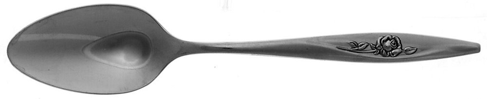 Oneida Silver Lasting Rose Teaspoon 495756